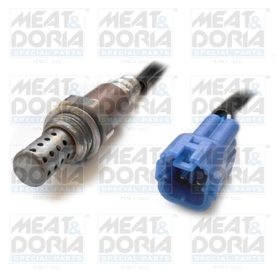 Oxygen Sensor